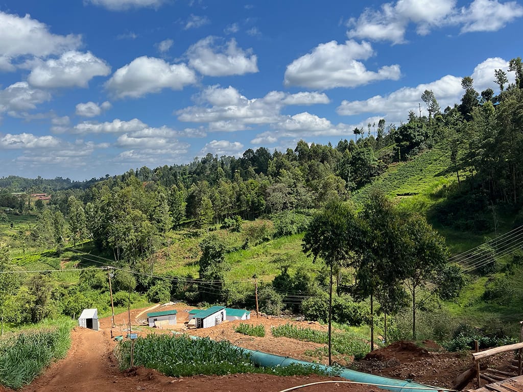 Green Africa Mining Alliance Delivers First ASIC Miners for Seed Program