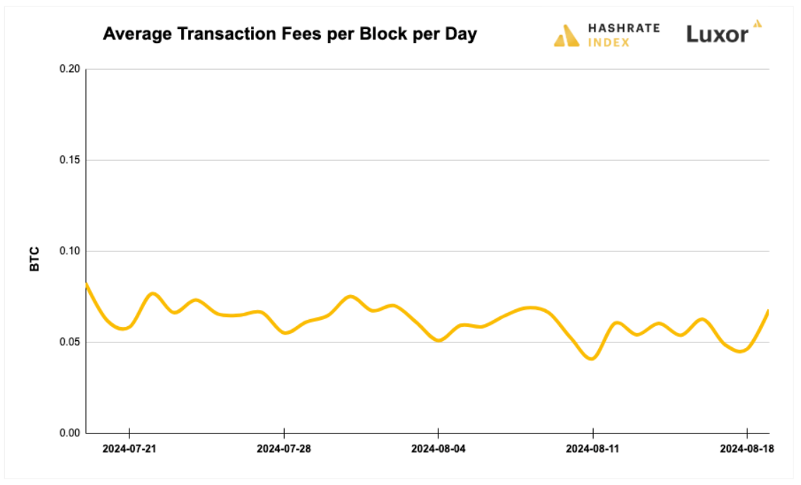 Luxor Bitcoin transaction fees August 12, 2024