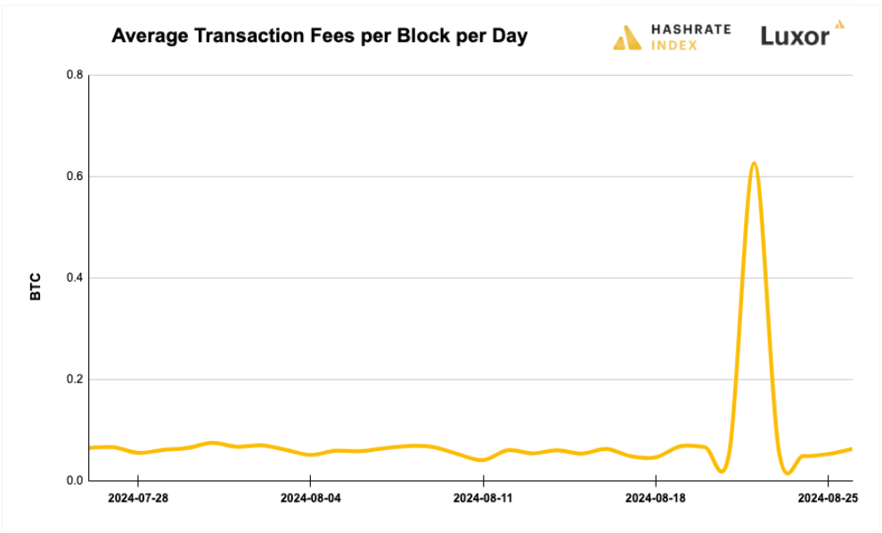 Luxor Bitcoin transaction fees August 12, 2024