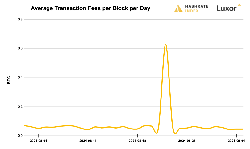 Luxor Bitcoin transaction fees August 12, 2024