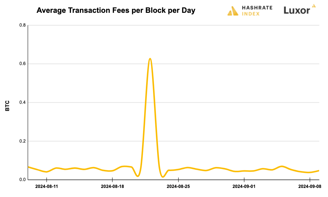 Luxor Bitcoin transaction fees August 12, 2024