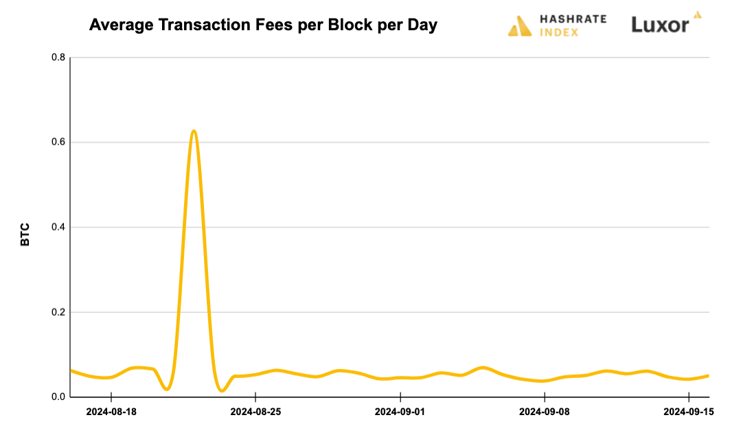 Luxor Bitcoin transaction fees August 12, 2024