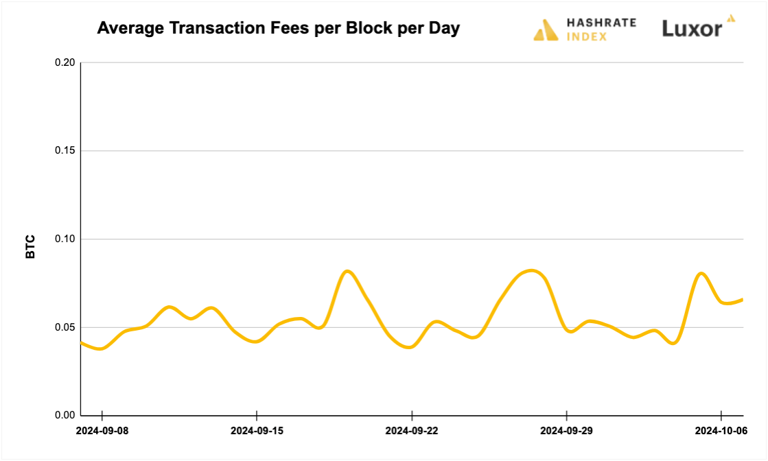 Luxor Bitcoin transaction fees August 12, 2024