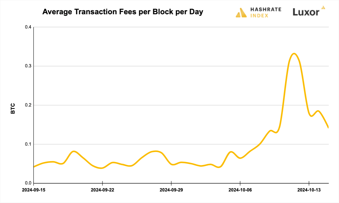 Luxor Bitcoin transaction fees August 12, 2024