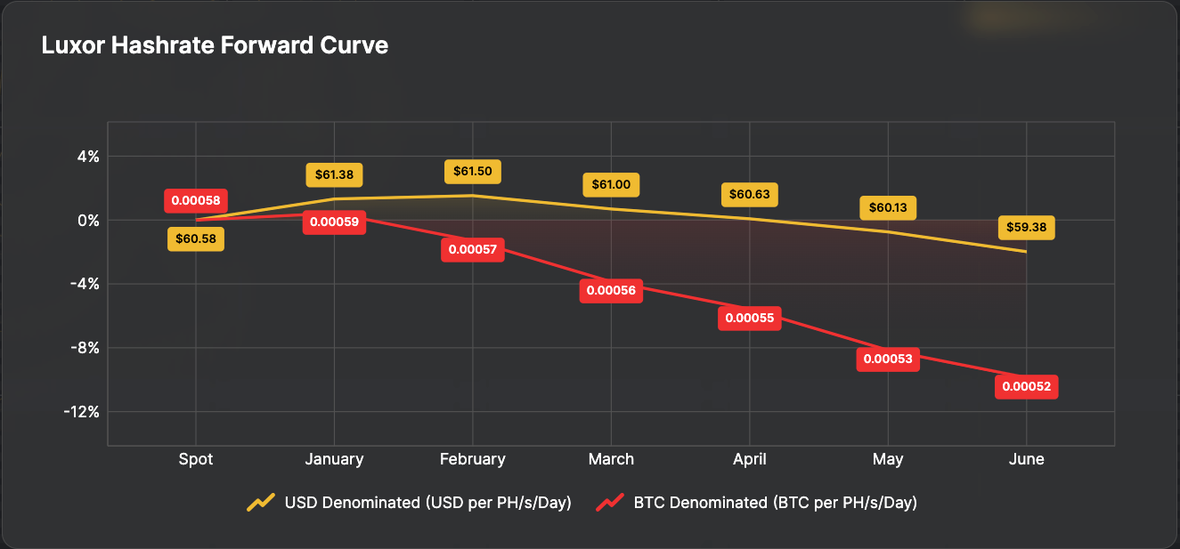 Luxor Hashrate Forward Curve