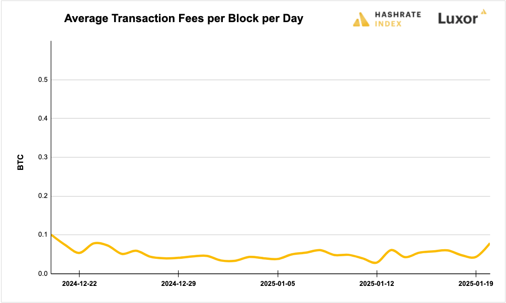 Luxor Bitcoin transaction fees August 12, 2024