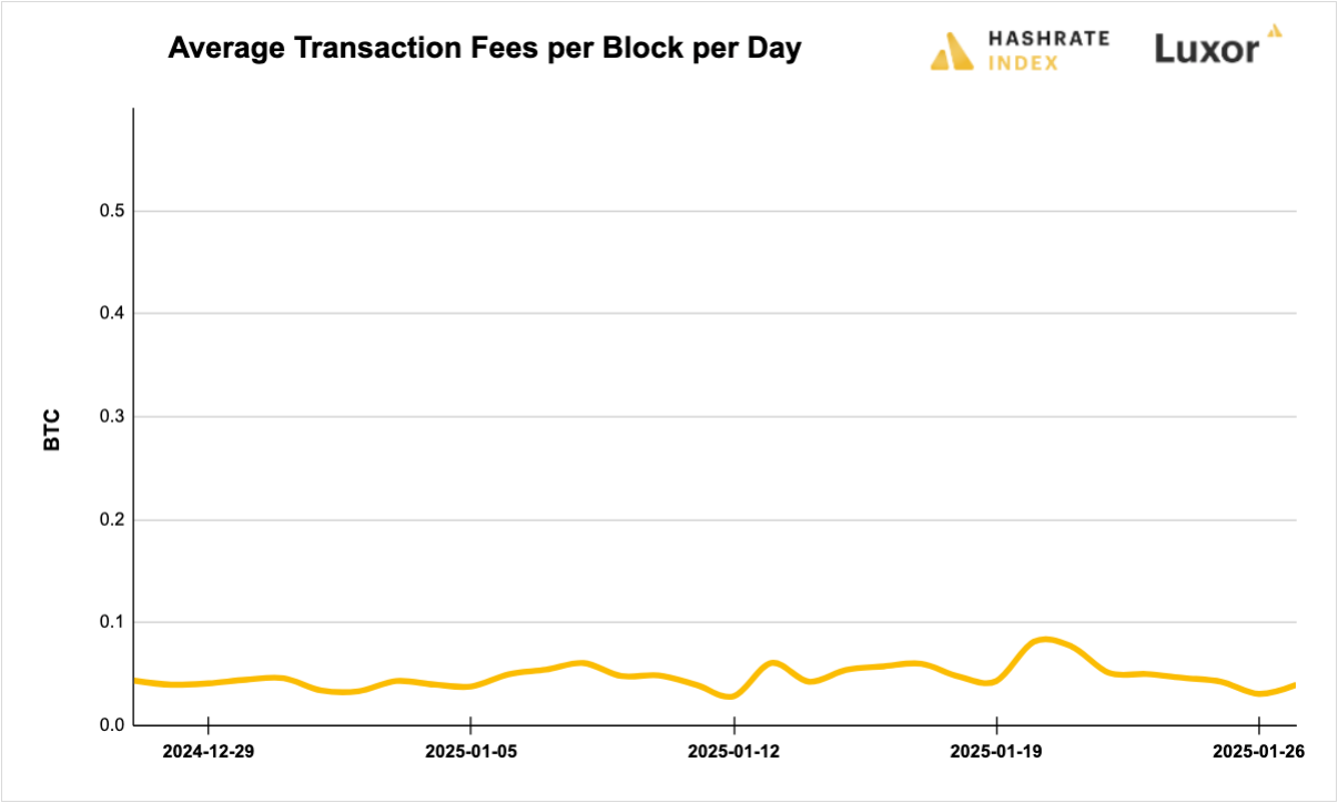 Luxor Bitcoin transaction fees August 12, 2024