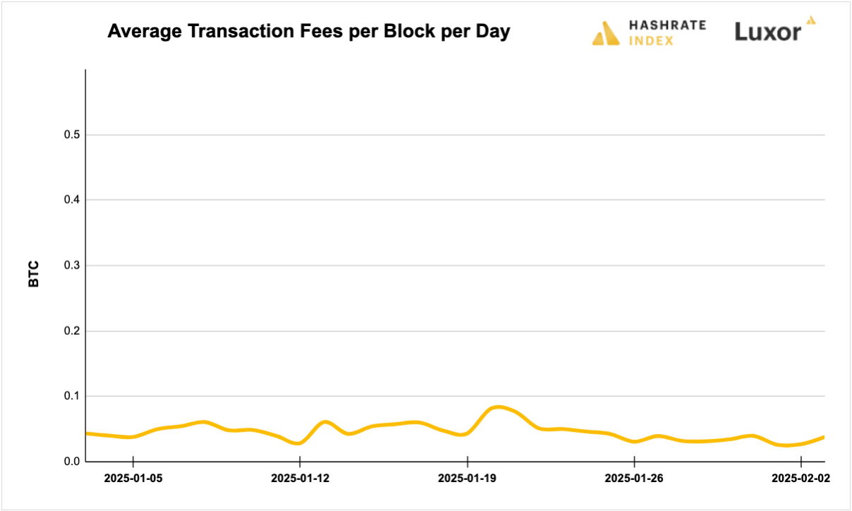 Luxor Bitcoin transaction fees August 12, 2024