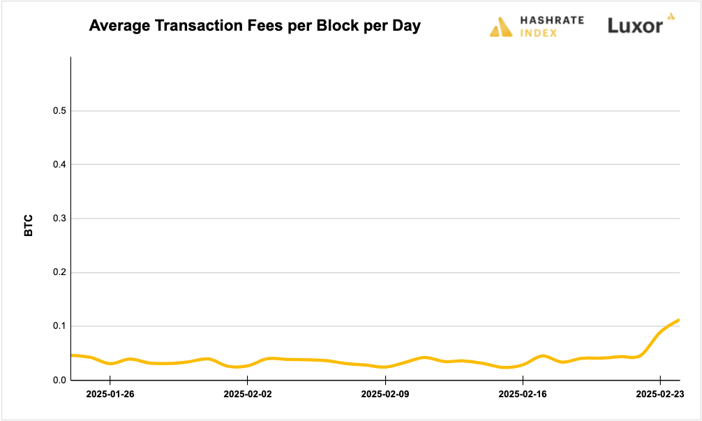 Luxor Bitcoin transaction fees August 12, 2024