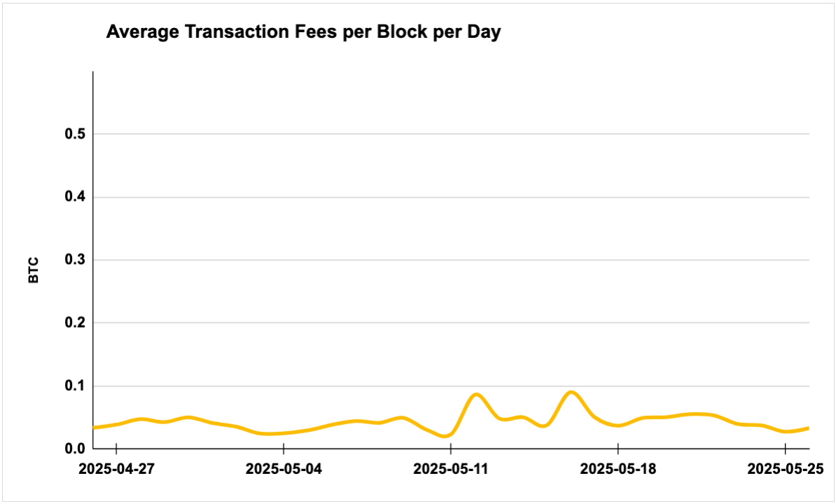 Luxor Bitcoin transaction fees August 12, 2024