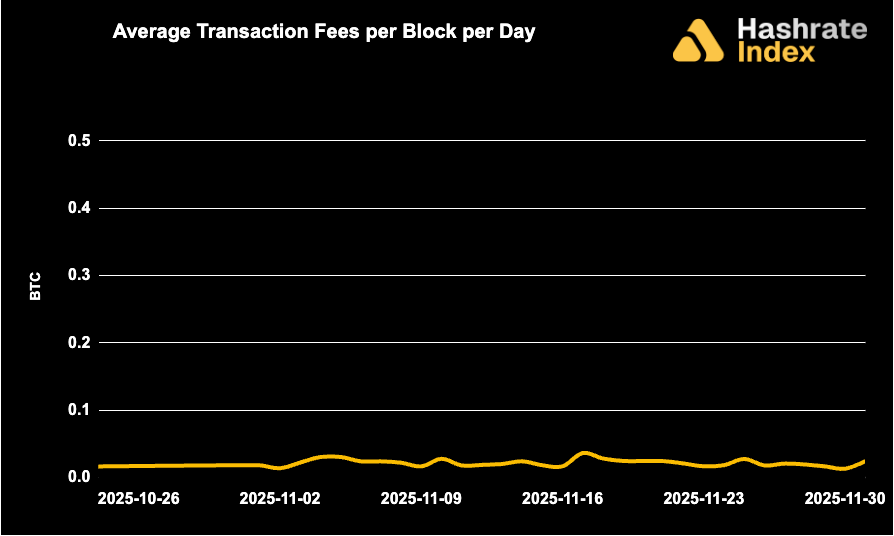 Line chart showing average Bitcoin transaction fees per block per day from May 30 to June 30, 2025, with a steady decline and range between ~0.01 to 0.10 BTC. Fee levels remained low and stable throughout the month.