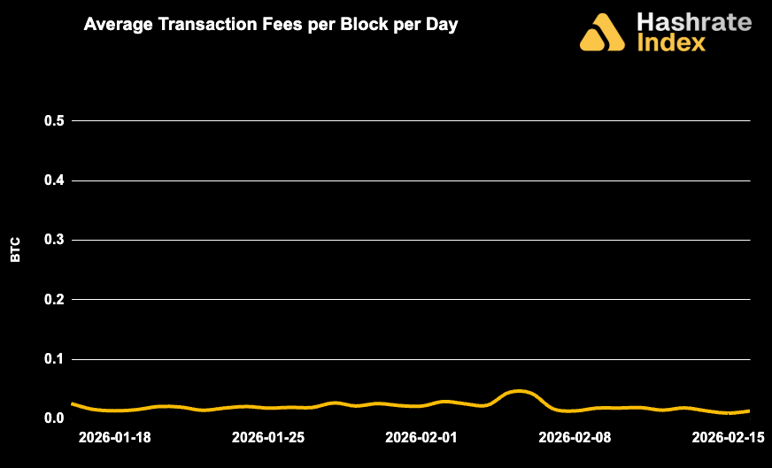 Line chart showing average Bitcoin transaction fees per block per day from May 30 to June 30, 2025, with a steady decline and range between ~0.01 to 0.10 BTC. Fee levels remained low and stable throughout the month.
