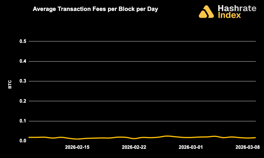 Line chart showing average Bitcoin transaction fees per block per day from May 30 to June 30, 2025, with a steady decline and range between ~0.01 to 0.10 BTC. Fee levels remained low and stable throughout the month.