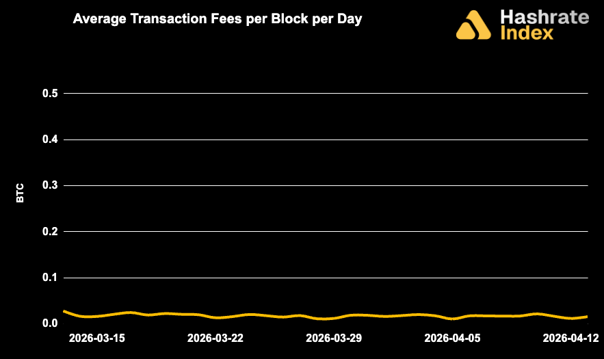 Line chart showing average Bitcoin transaction fees per block per day from May 30 to June 30, 2025, with a steady decline and range between ~0.01 to 0.10 BTC. Fee levels remained low and stable throughout the month.