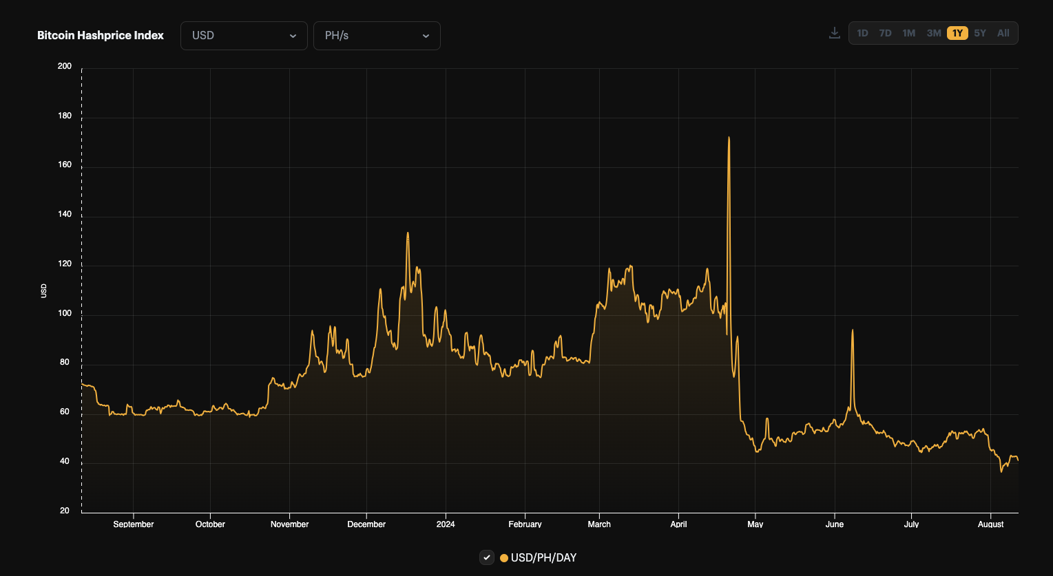 Hashrate Index Roundup (August 12, 2024)