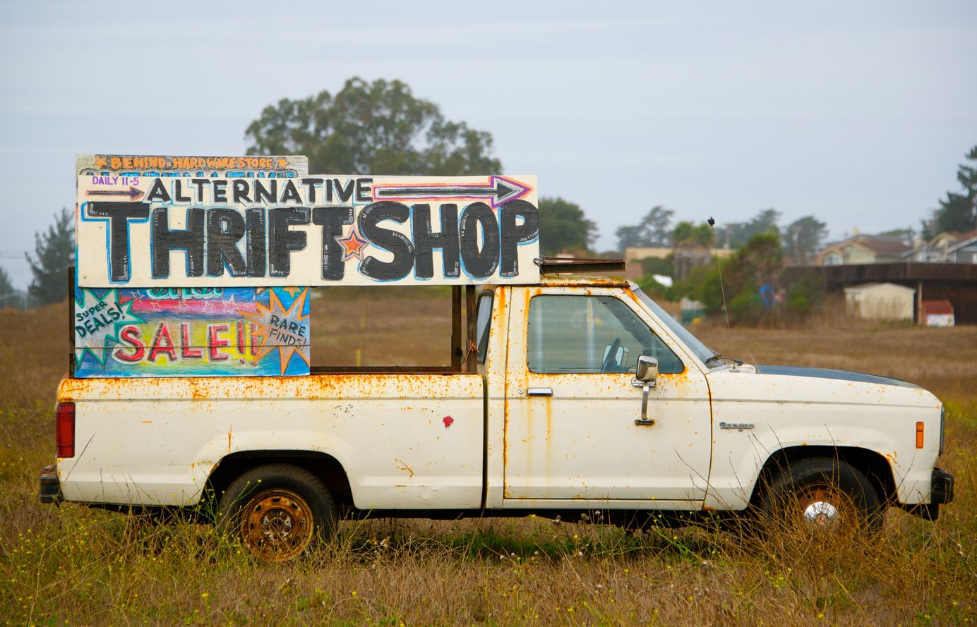 Photo by chrissie kremer on Unsplash